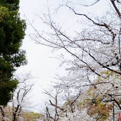 初めまして、どうぞよろしくお願いします。