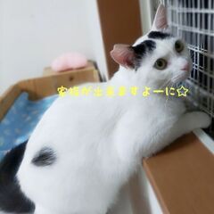 穏やか.健気にお友達を待つ男の子