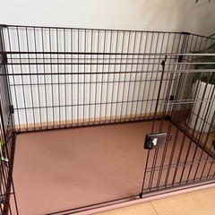 犬ゲージ