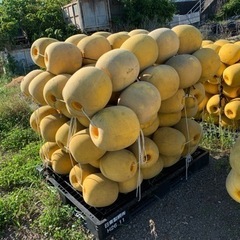 在庫は210
個！ペンドル、フェンダー、アバ、ボンデンの画像