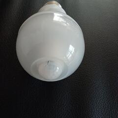 センサーライト　電球の画像