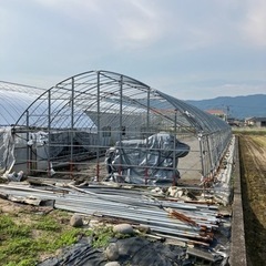 パイプハウス