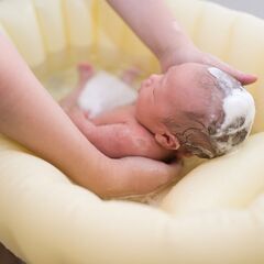 2023年11月1日オープン予定、市内で唯一お産ができる産婦人科でオープニング助産師募集の画像