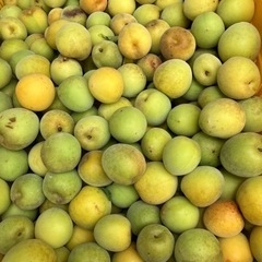 和歌山県産南高梅の画像