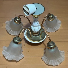 ◾️オーヤマ照明■シーリングタイプの花型照明（〜8畳）