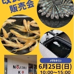 ゆる～く販売会♪の画像