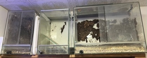 ケージ 多数 現状引き渡し
