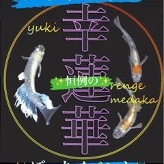 【更新①】恒例のぼっちメダカイベント開催✨