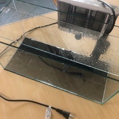 45cm水槽/ろ過機付きです　