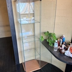 IKEA ショーケースの画像