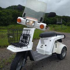 HONDA ジャイロX (実動/書類つき)