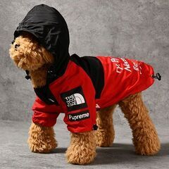 犬服 レインコート パーカー♡