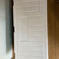 ビックサイズクーラーボックス