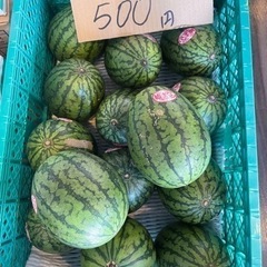 小玉スイカ　姫まくら　1玉　500円