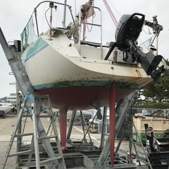 マイレディ25ft