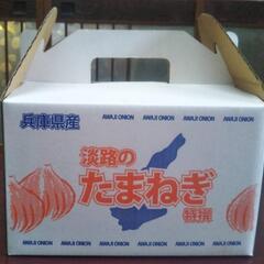 【送料込みの価格】※北海道・沖縄・離島の方は申し訳ありません無理です🙏南淡路産玉ねぎ、約３キロ、サイズミックス、お土産・離乳食にオススメ、甘い、肉厚なのに柔らかい、辛味少なく胃が焼けない、加熱でトロトロ〜、※取りに来てくださる方は送料を引かせて頂きますの画像