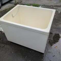 （お話中）風呂桶　水槽の画像