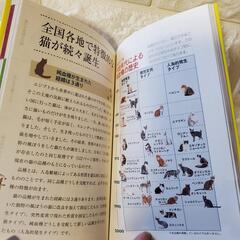 猫まるわかり大辞典　の画像