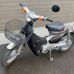 リトルカブ50