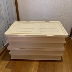 【引渡決定】フードテナー　フードコンテナ　中古品　餅入れ　