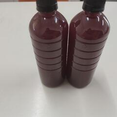 PSB光合成細菌1.5L(エビオス錠10粒付き)