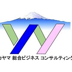 ワカヤマ総合ビジネスコンサルティング／主に中小企業向け　経営改革...