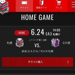 Jリーグ6/24（土）チケット２枚