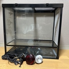 爬虫類 ガラスケージ 603045