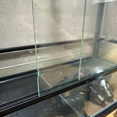 爬虫類 ガラスケージ 603045の画像
