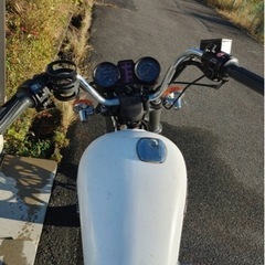 gsx250l Lザリ　レストアベース　愛知の画像