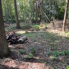 自然豊かな弥彦村でリフレッシュ！275㎡の広大な土地をお貸しします - 西蒲原郡