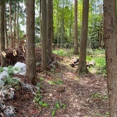 自然豊かな弥彦村でリフレッシュ！275㎡の広大な土地をお貸…