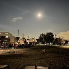 明日の夜、大宮～浦和付近で散歩・散策出来る方