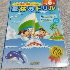 小6 算数 国語 夏休みドリル 新品未使用❗️