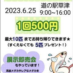 2023.6.25めだかすくい