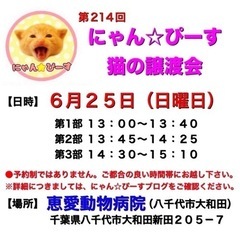 6月25日(日)🌸にゃん☆ぴーす猫の譲渡会🌸「恵愛動物病院」八千...