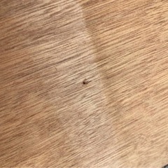 中古ベニヤ板　3枚　合板　ベニア　2.5ミリ程度の画像