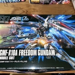 [組立品]HGCE フリーダムガンダム