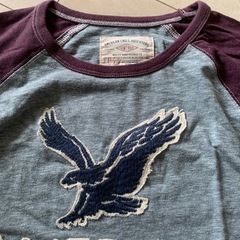アメリカンイーグル　tシャツ の画像