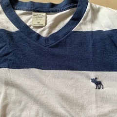 アバクロ　tシャツ Mサイズの画像