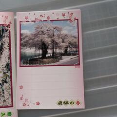 絵葉書の画像
