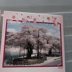 絵葉書の画像