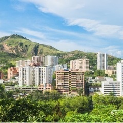 コロンビア、サルサの街「カリ」 の画像