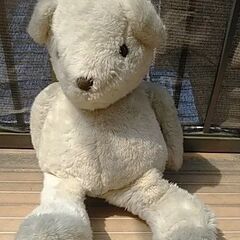 クマのぬいぐるみ