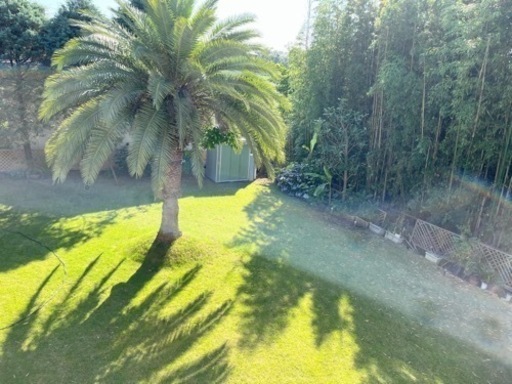 お庭貸し(撮影、バーベキュー、ヨガ、ドッグラン等)