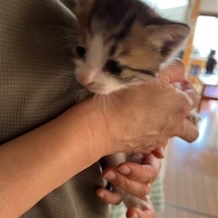 里親様決定📍ありがとうございました