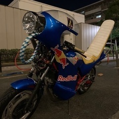 VT250FC