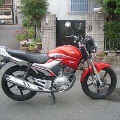 YBR125 超綺麗　動画付