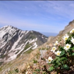 6/24(土)-6/25(日)白峰三山（農鳥小屋泊）