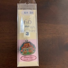 沖縄5点セットの画像